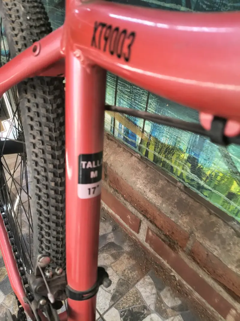 Bicicleta de montaña Lahsen roja con suspensión - 4