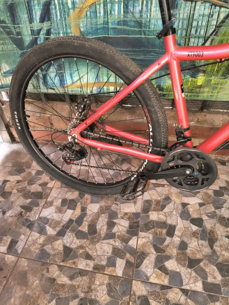 Bicicleta de montaña Lahsen roja con suspensión - 5