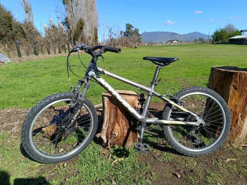 Bicicleta Altitude niño aro 20 - 2
