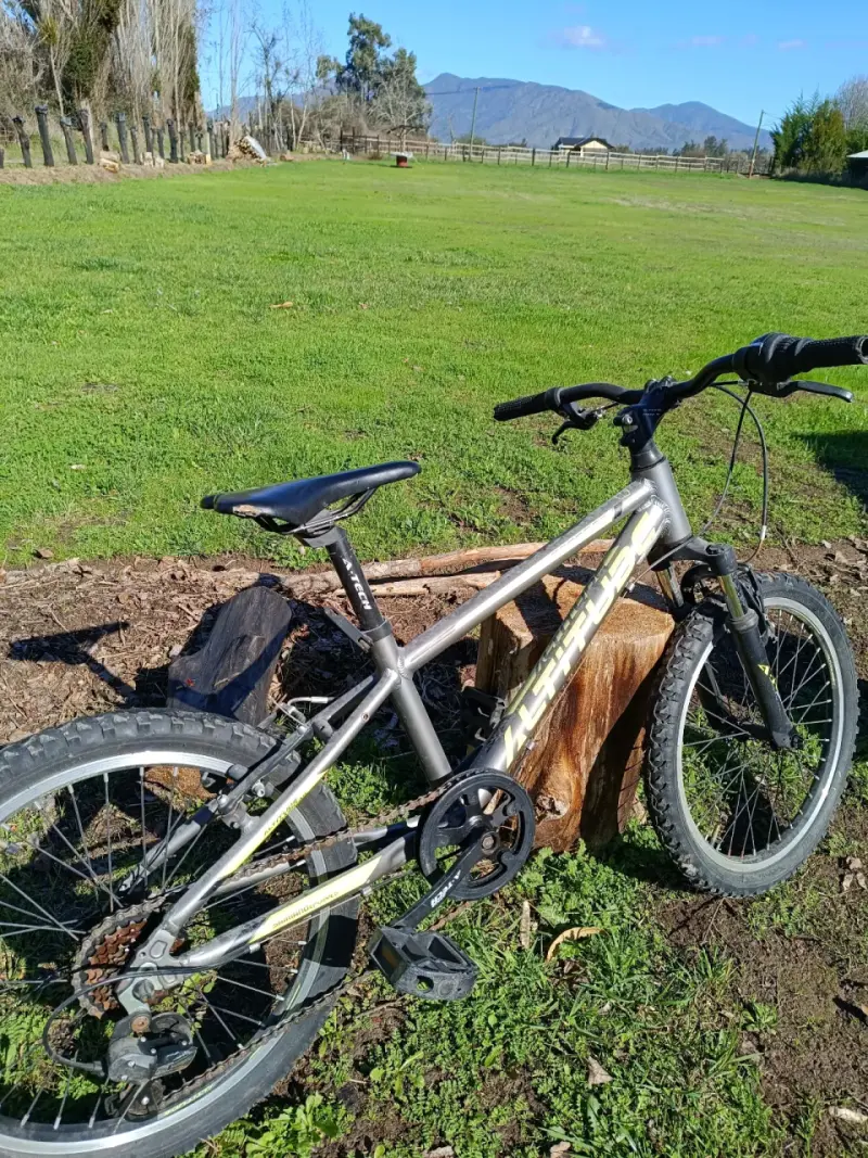Bicicleta Altitude niño aro 20 - 4
