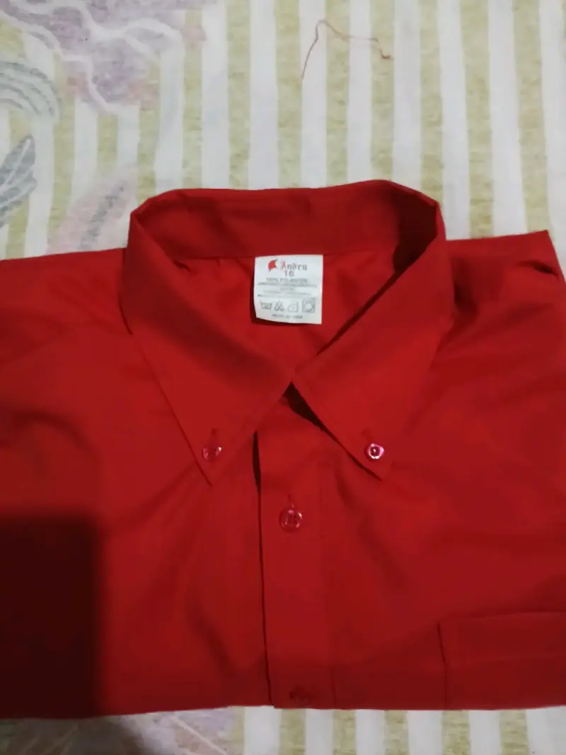 Camisas - 1