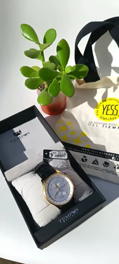 Reloj Tempus Watches de acero inoxidable - miniatura 1