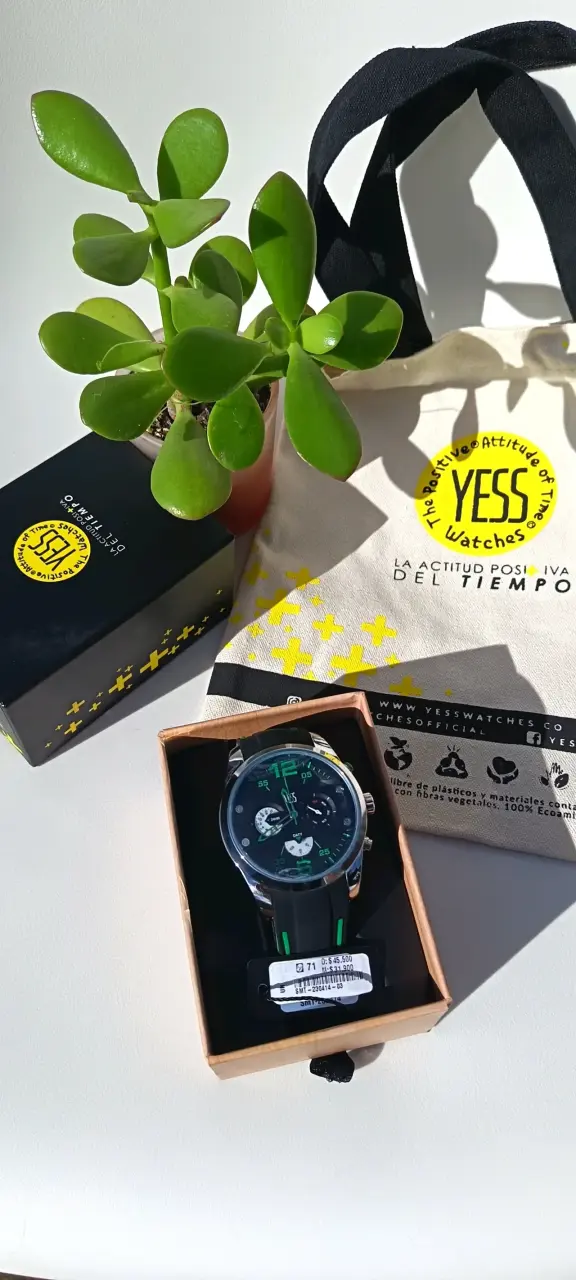 Reloj Tempus Watches de acero inoxidable - 5