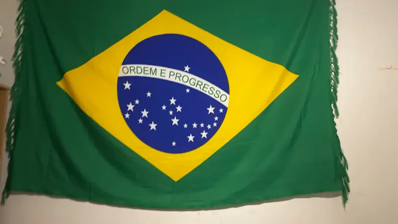 Bandera de Brasil con flecos decorativos - 2