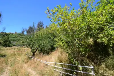 Se vende propiedad 5 hectareas comuna de Tomé. - miniatura 4