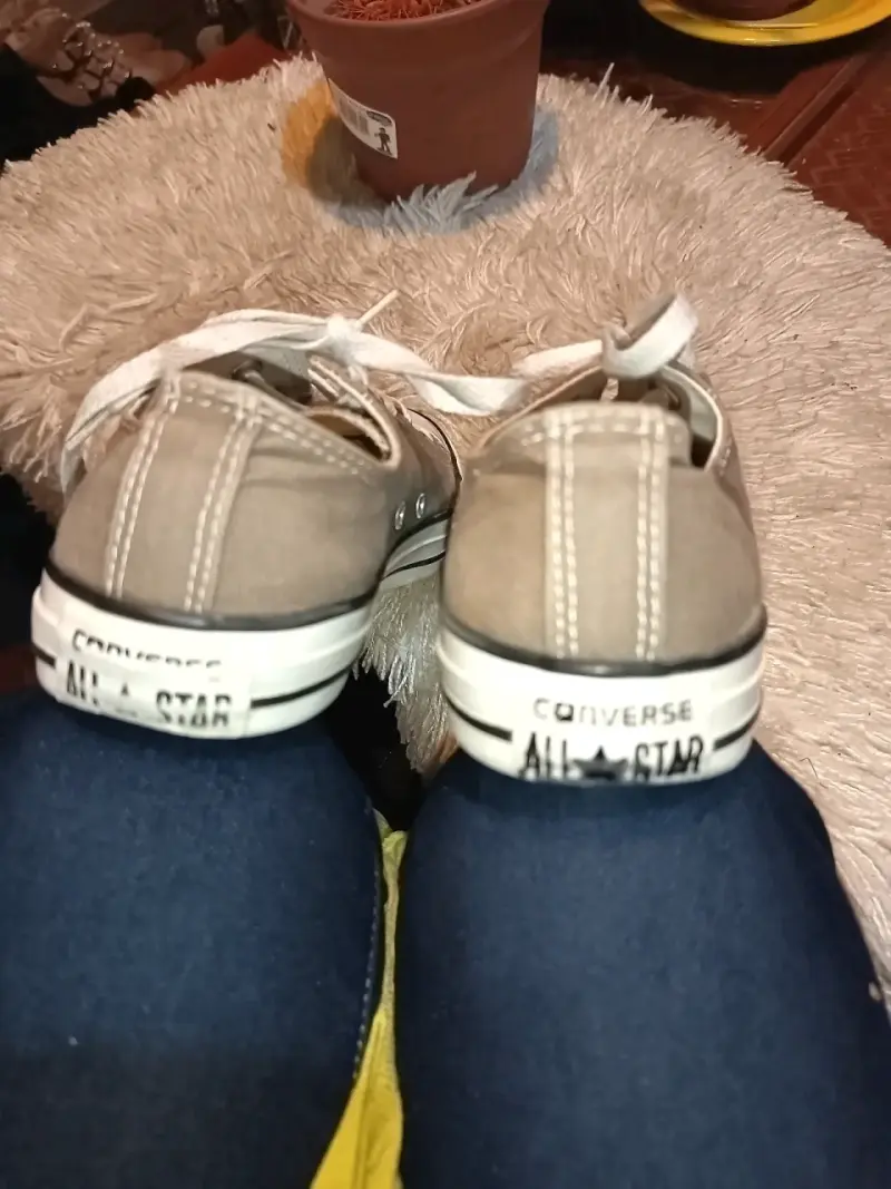 Zapatillas Converse grises clásicas unisex - 5