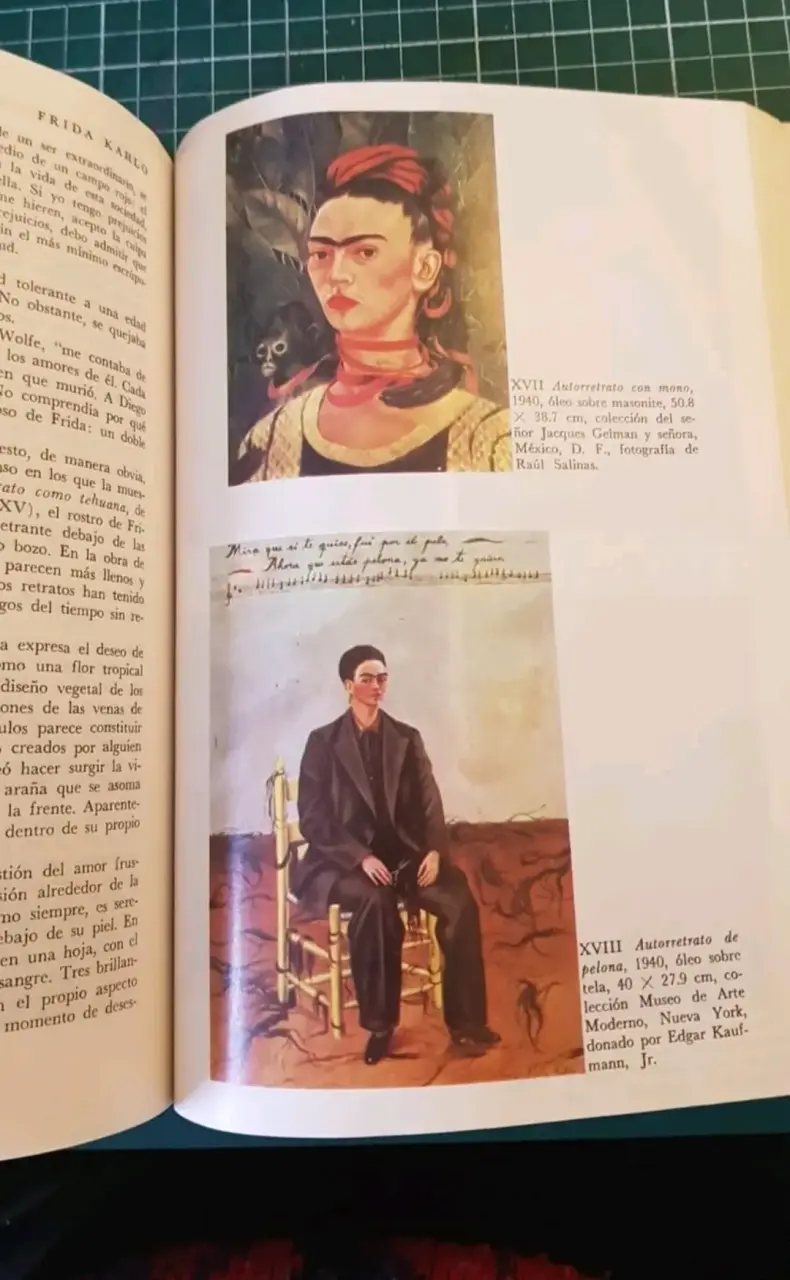 Libro Frida: Una Biografía de Frida Kahlo por Hayden Herrera - 2