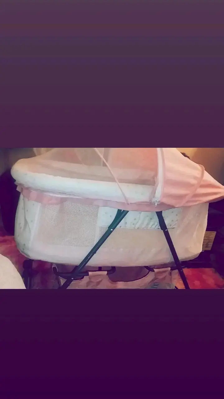 Cuna moisés para bebé rosa con mosquitero - 2