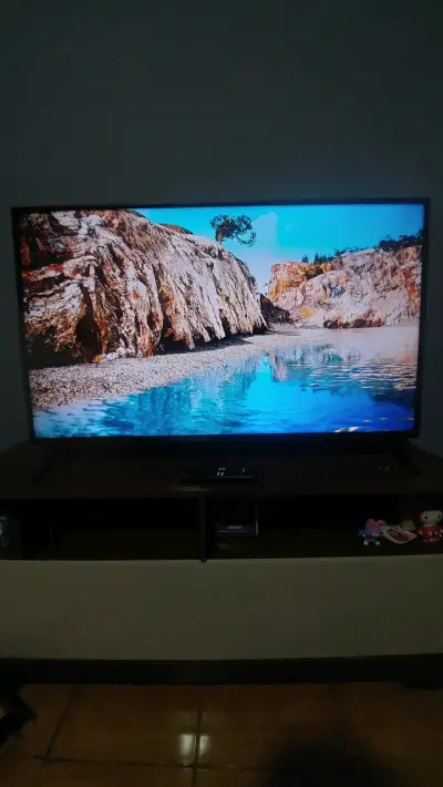 Televisor LG UHD 43 pulgadas con HDR10 Pro - miniatura 1