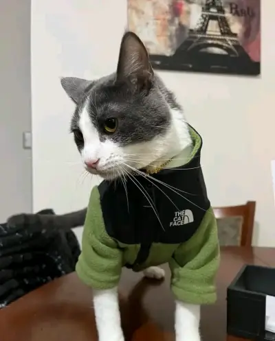 Abrigo para gato The Cat Face en varios colores - miniatura 2