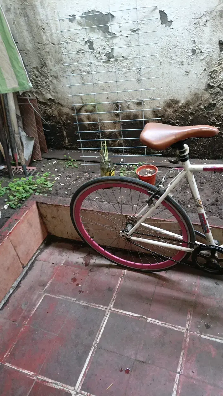 Bicicleta pistera scoop - 1