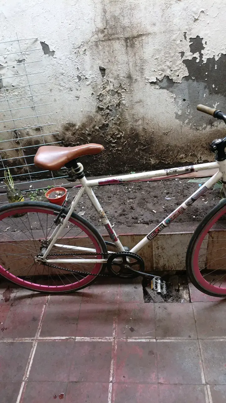 Bicicleta pistera scoop - 2