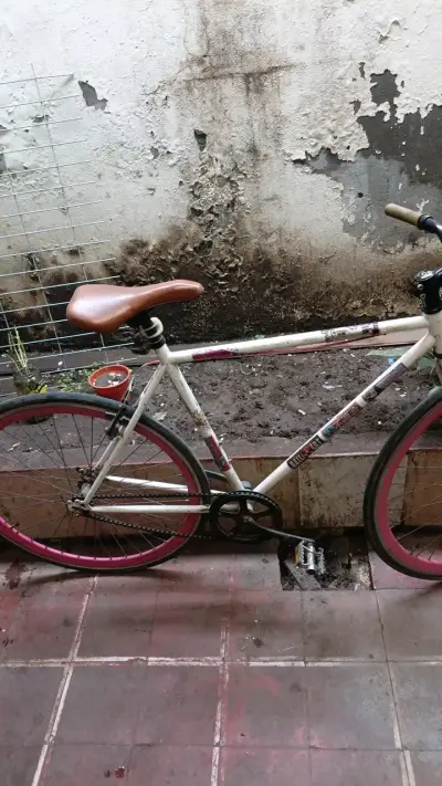 Bicicleta pistera scoop - miniatura 2
