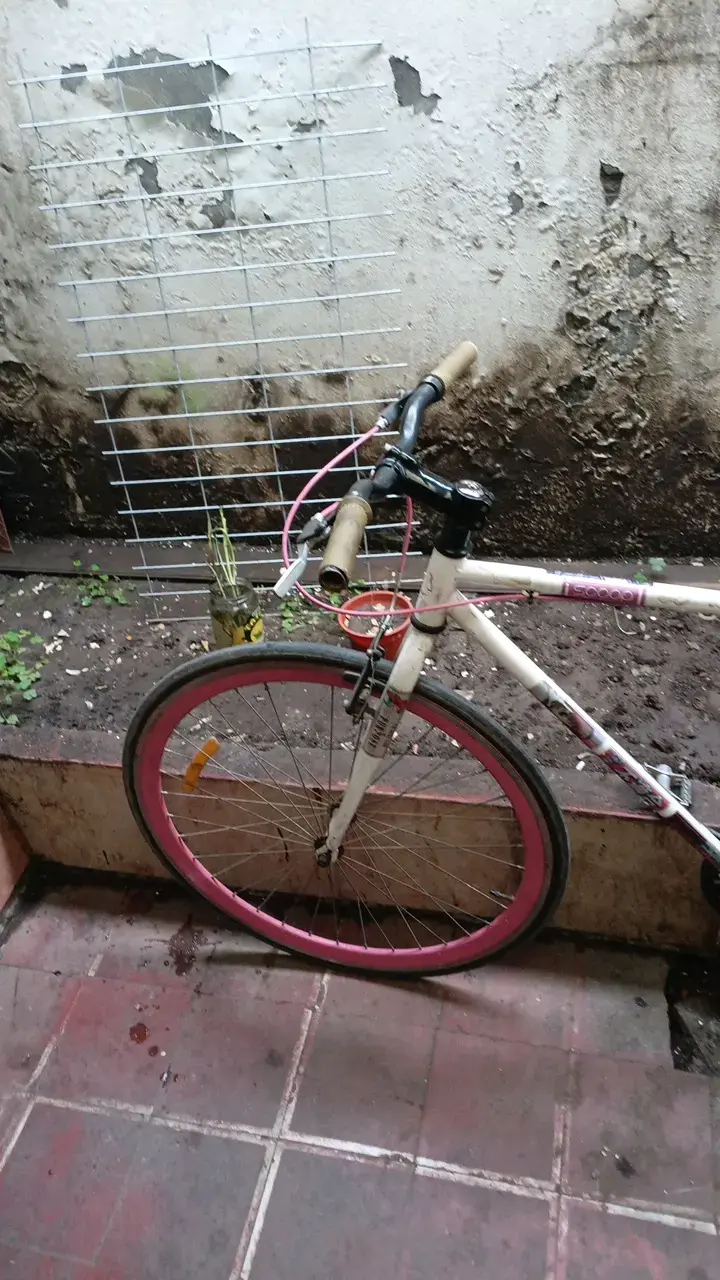 Bicicleta pistera scoop - 4