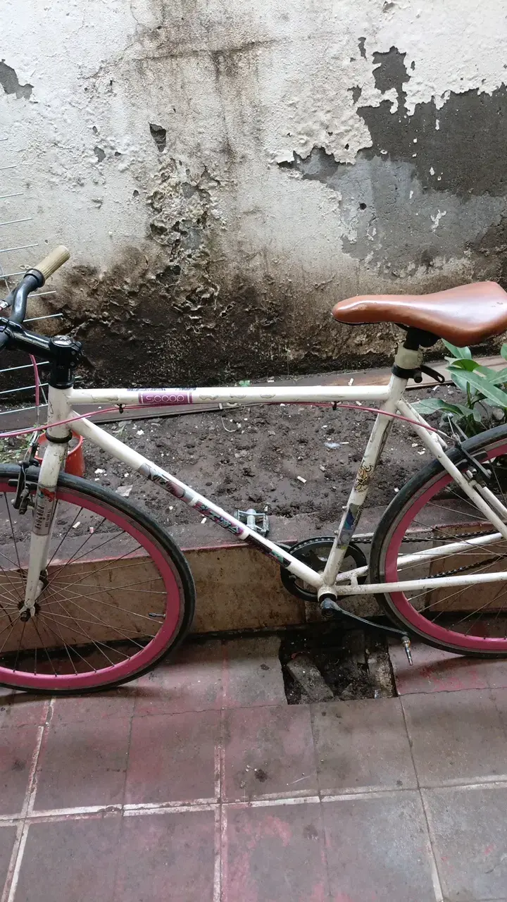 Bicicleta pistera scoop - 5