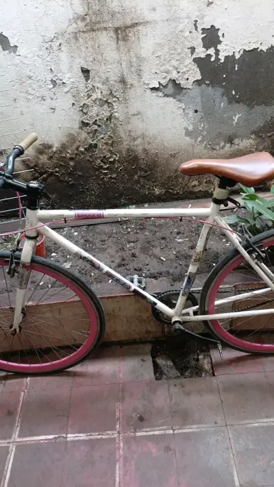 Bicicleta pistera scoop - miniatura 5