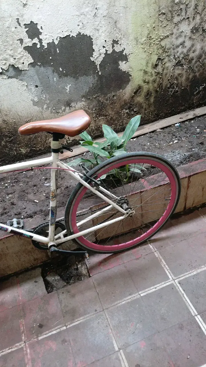 Bicicleta pistera scoop - 6