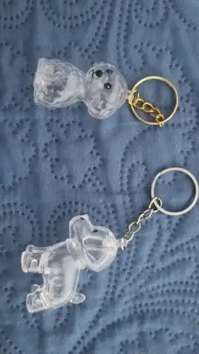 Set de llaveros variados - miniatura 2