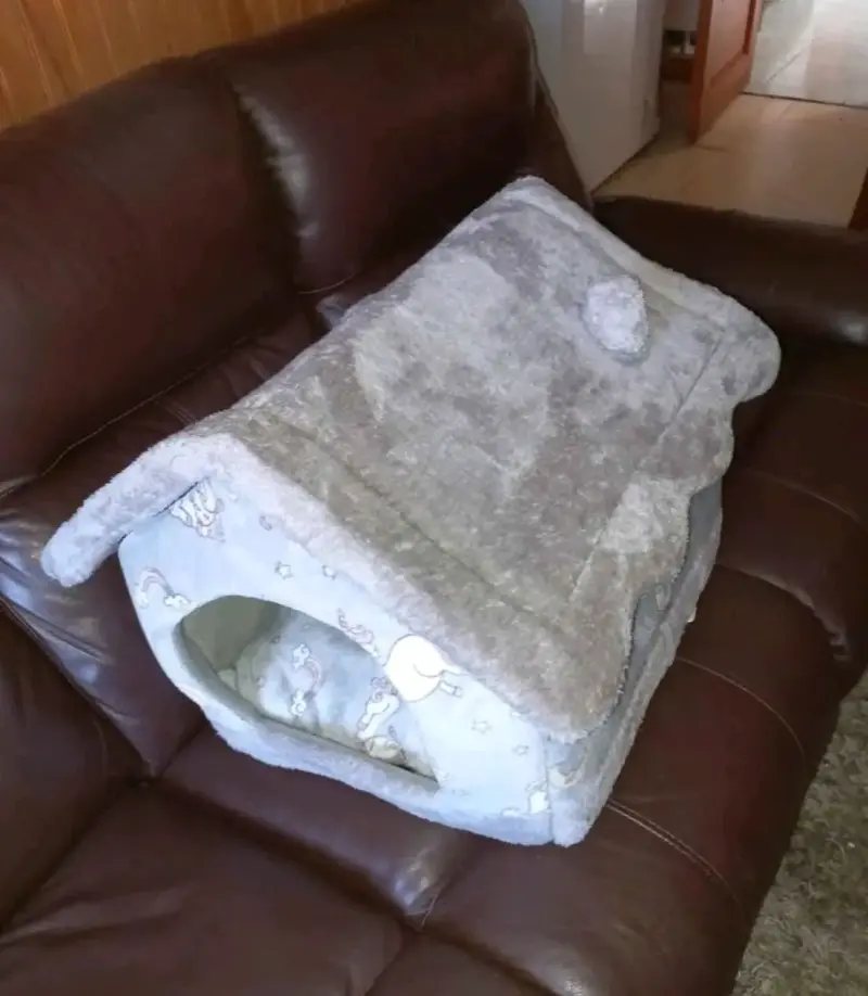 Casa para mascotas con diseño de unicornio - 2