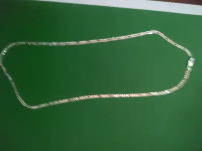 Cadena de plata larga nueva - miniatura 1