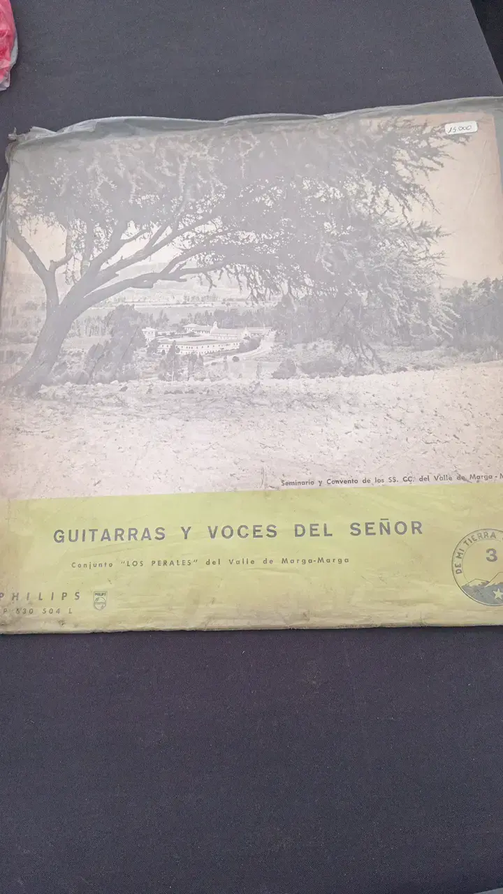 Disco de vinilo Guitarras y Voces del Señor Philips