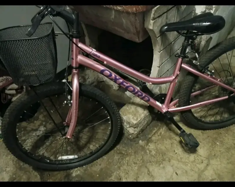 Bicicleta Infantil Oxford Luna Aro 24 Rosada - 1
