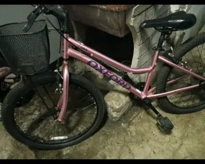 Bicicleta Infantil Oxford Luna Aro 24 Rosada - miniatura 1