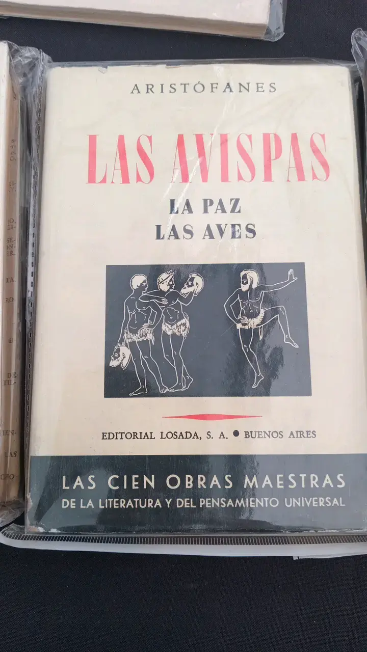 Colección de libros clásicos Editorial Losada - 2