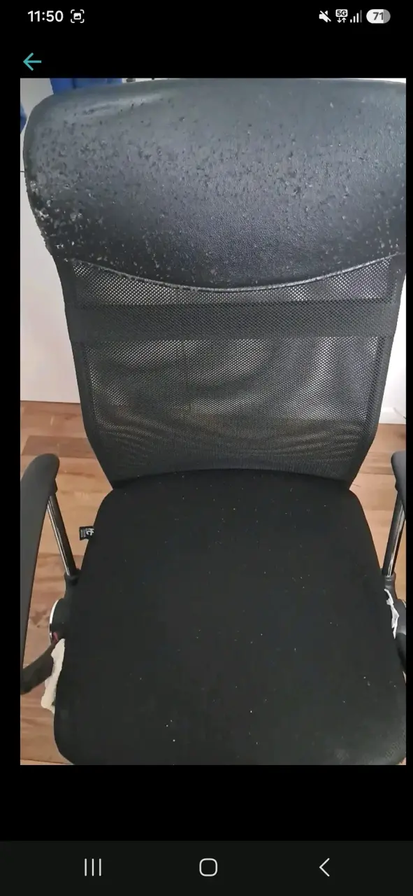Silla de Oficina Ergonómica - 1