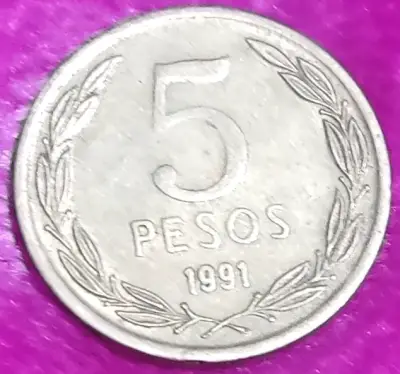 Moneda chilena escasa de 5 pesos de 1991 - miniatura 1