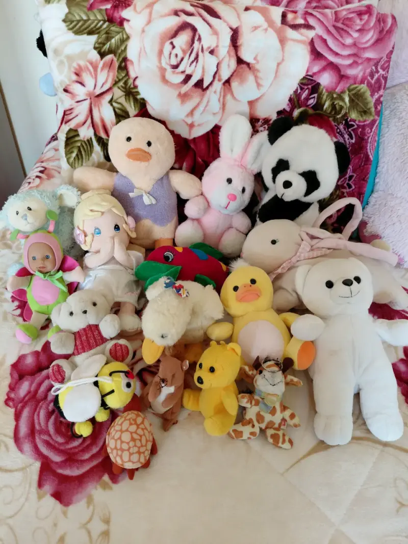 Peluches Economicos
