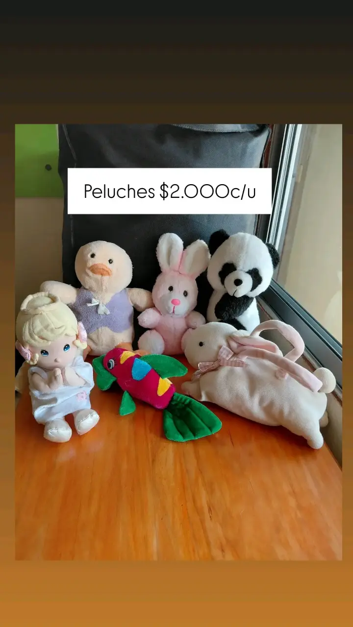 Peluches Economicos - 4