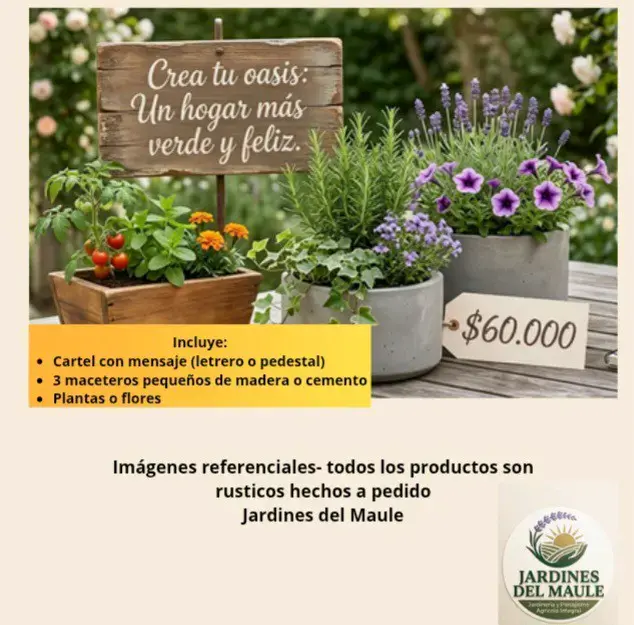 Ofertas de lanzamiento - 1