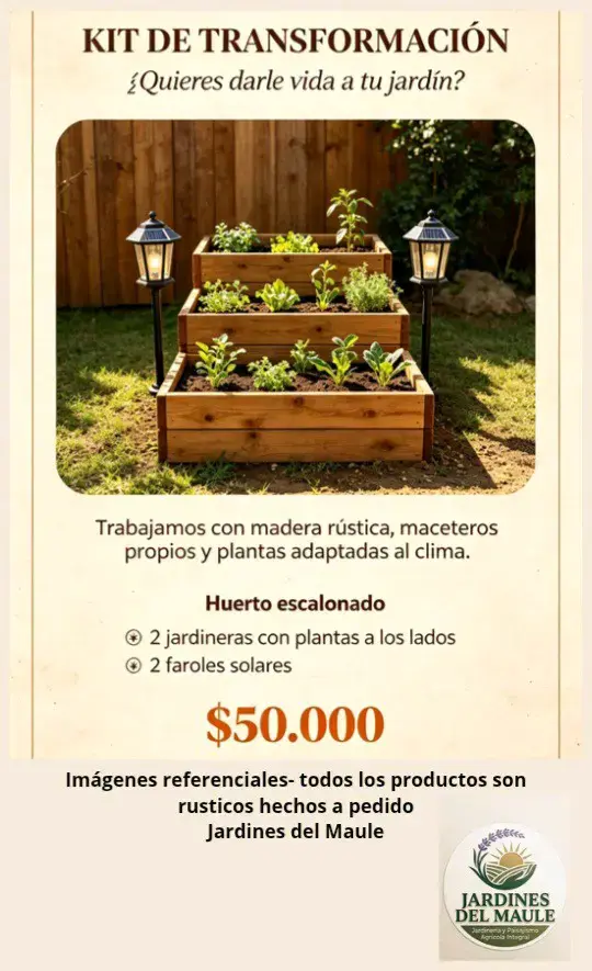 Ofertas de lanzamiento - 3