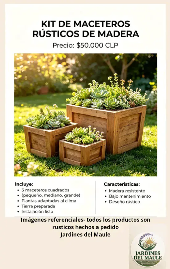 Ofertas de lanzamiento - 4