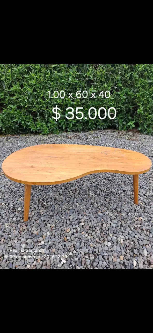 Mesa de centro de madera estilo moderno - 1
