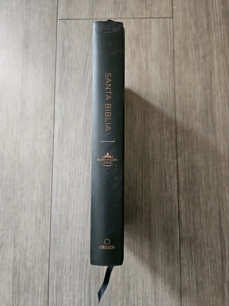 Santa Biblia Reina Valera 1960 con Tapa de León - 2