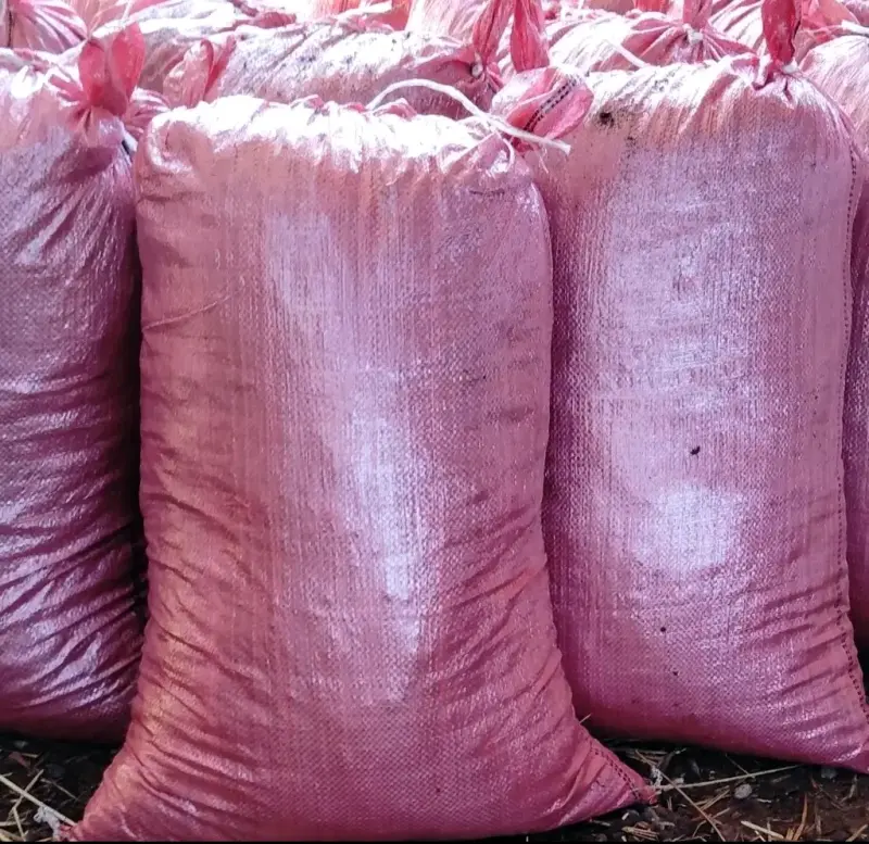 Tierra de Compostaje Orgánico para Jardinería - 2