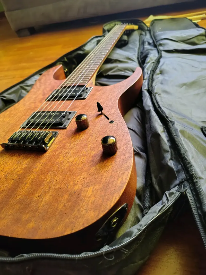 Guitarra eléctrica Ibanez Kaoba RG421 - 1