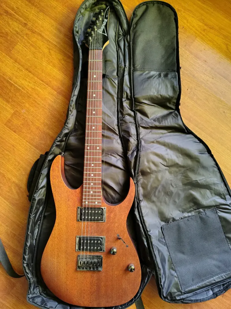 Guitarra eléctrica Ibanez Kaoba RG421 - 2