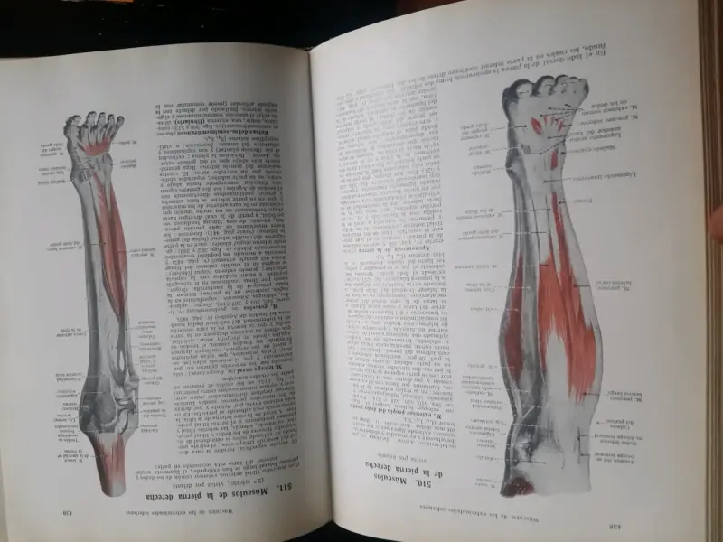 Libro de Medicina Tecnirama con Ilustraciones - 2
