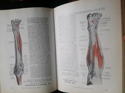 Libro de Medicina Tecnirama con Ilustraciones - miniatura 2