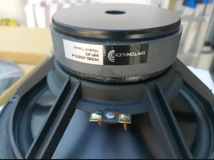 Parlante Dayton Audio RS270-4 de 10 pulgadas - 2