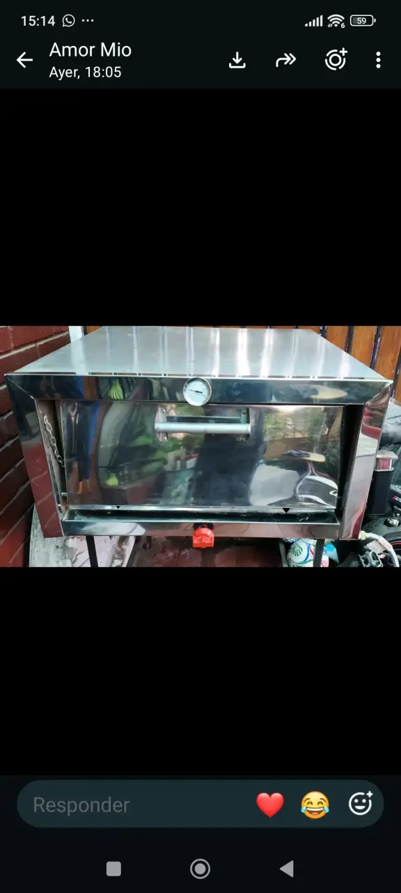 Horno de acero inoxidable con termómetro - 1