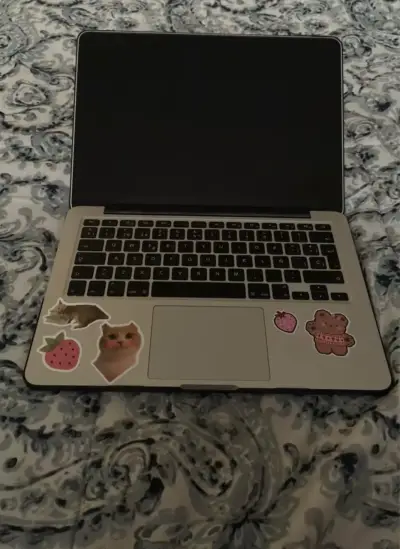MacBook Pro Retina 13 pulgadas Early 2015 - miniatura 1