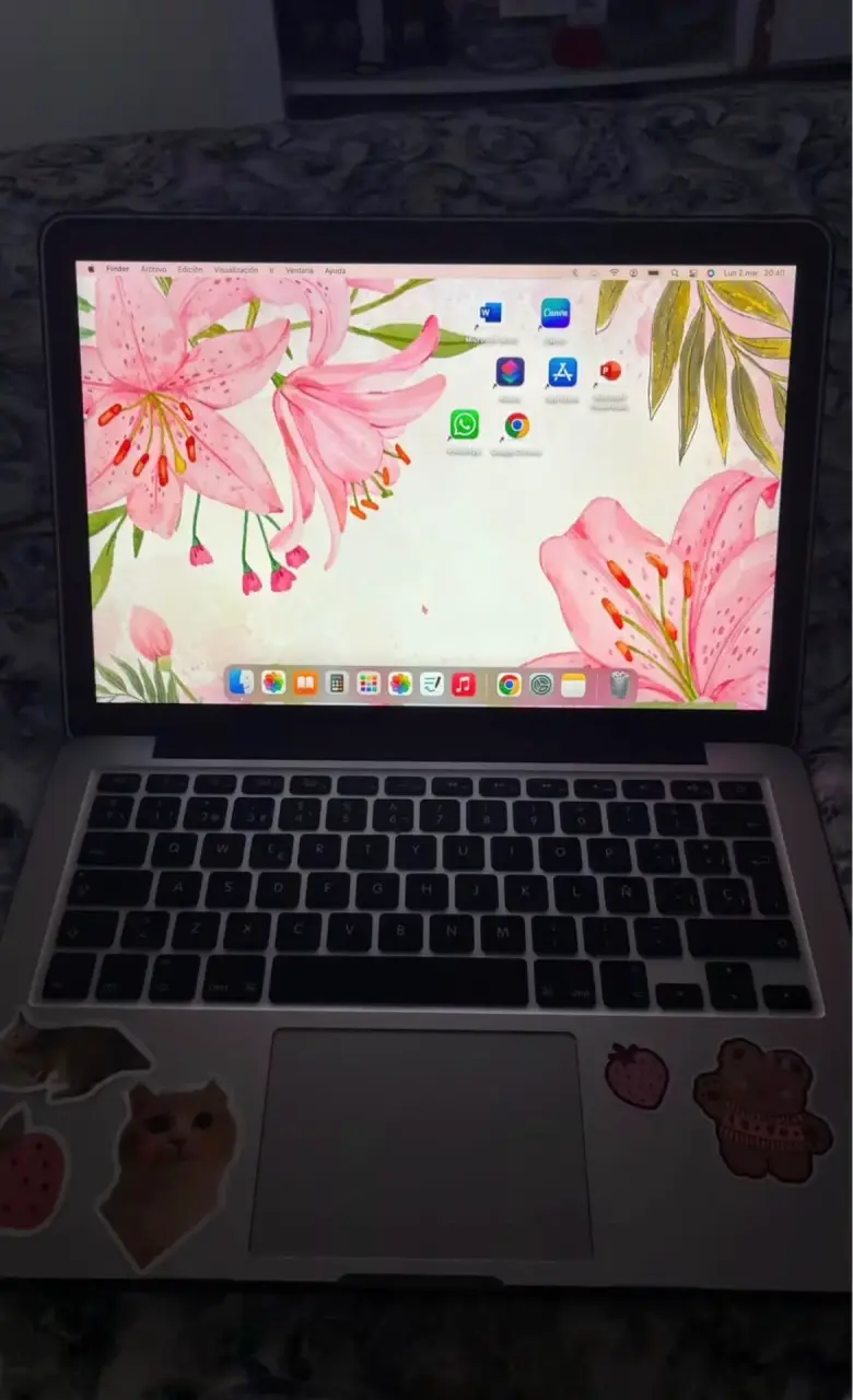 MacBook Pro Retina 13 pulgadas Early 2015 - 2
