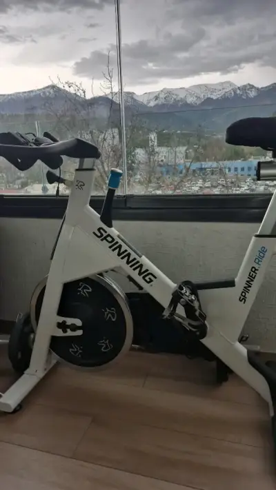 Bicicleta de Spinning Spinner Ride en buen estado - miniatura 1