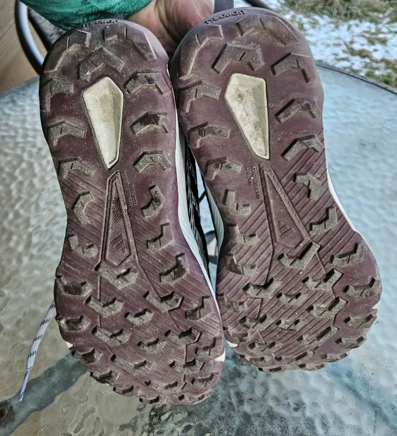 Zapatillas de Trail Running Adidas Terrex Gris - 1
