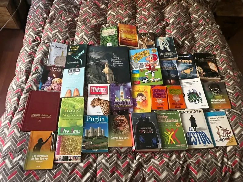 Lote de libros variados en buen estado - 1