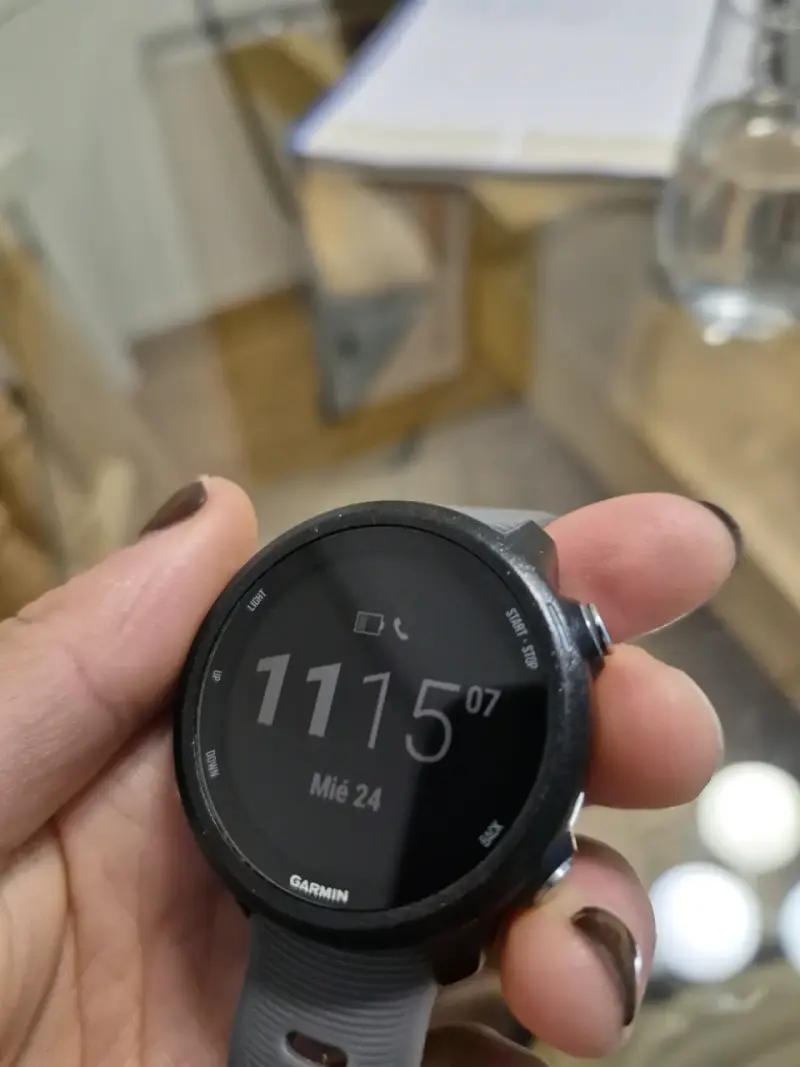 Reloj inteligente Garmin Forerunner 245 - 1